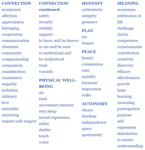 Universal Needs Inventory, The Center for Nonviolent Communication, Gretchen Wegner, How to Find the Theme of a Book, Purpose, Meaning, Essay Writing,