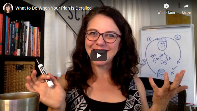 What to Do When Your Plan is Derailed